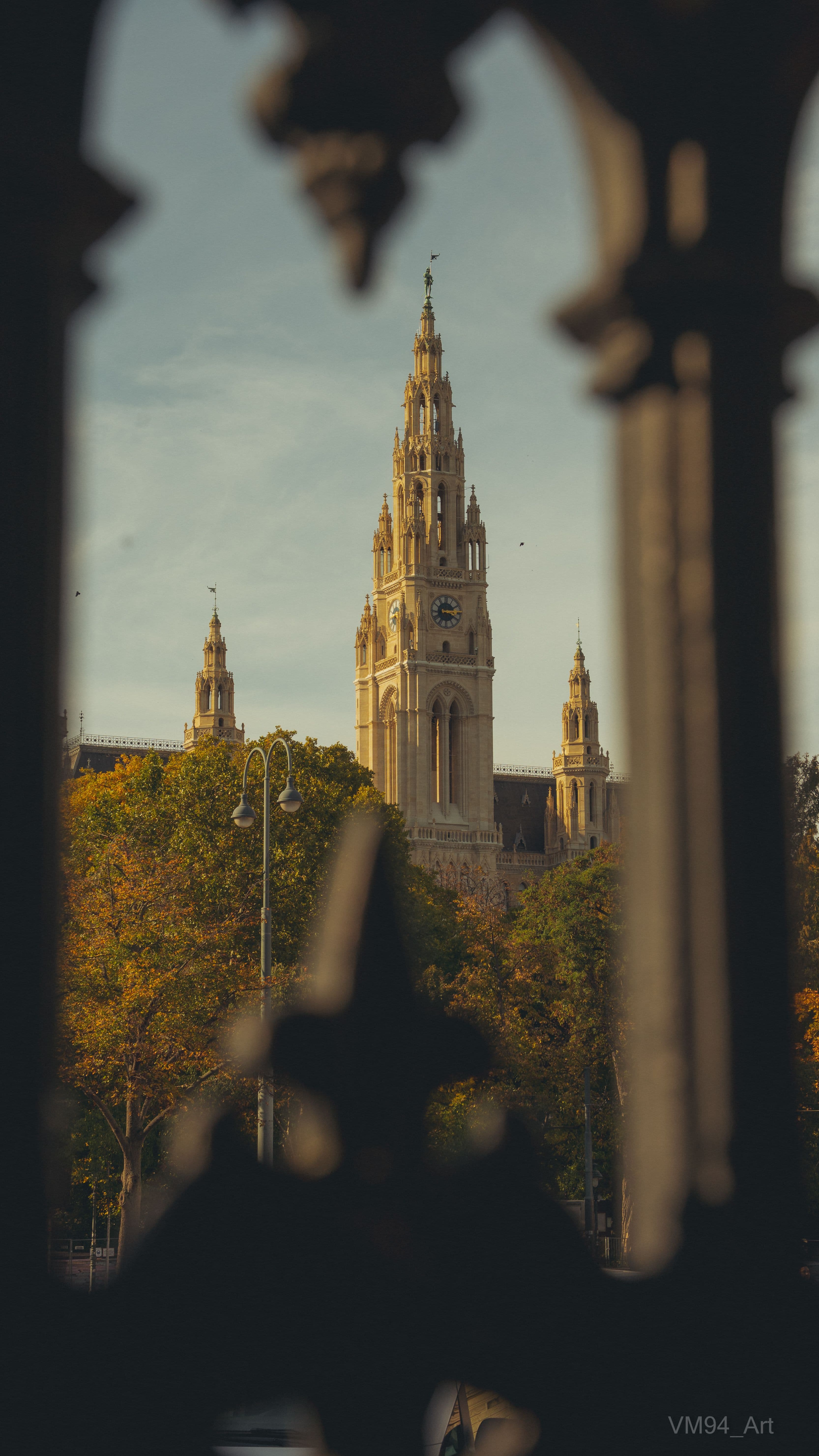 Vienna cityscape