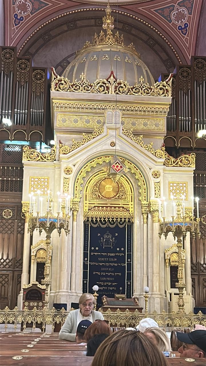 Ark at Dohány Synagogue, Budapest
